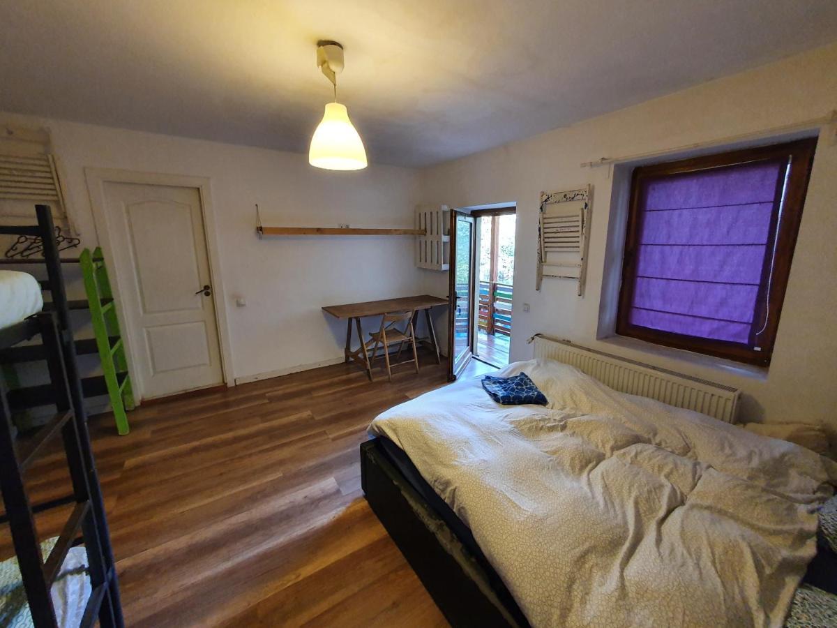 Zen Hostel Cluj-Napoca Luaran gambar